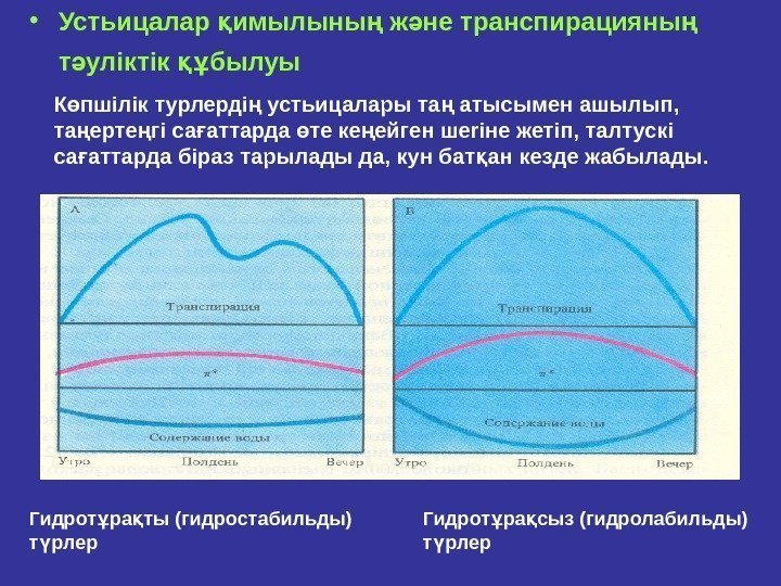  • Устьицалар имылыны ж не транспирацияны қ ң ә ң т улiктiк былуы